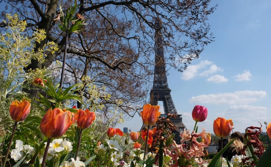 Париж весной
